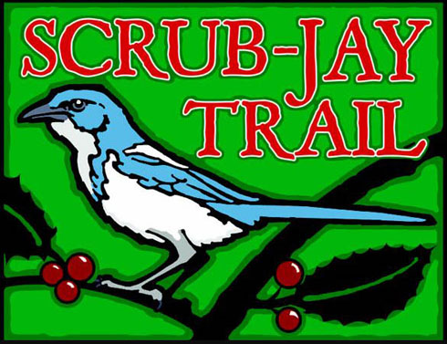 Scrub-Jay Trail