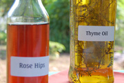 Lei Lani Davis' Herbs and Spices Workshop