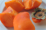 Wild Edibles and Traditional Nutrition Workshops