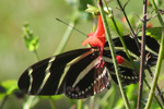 Transform your Yard into a Sanctuary
