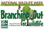Branching out for Wildlife Seeks Volunteers