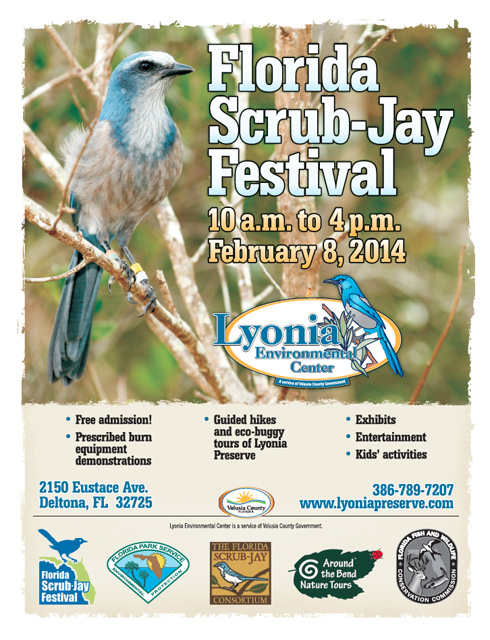 Florida Scrub-Jay Festival