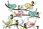 Clermont Christmas Bird Count December 29, 2017
