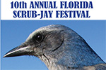 Scrub-Jay Festival, January 11, 2020