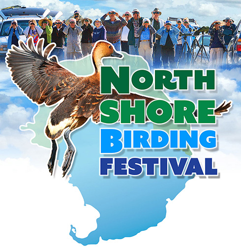 North Shore Birding Festival