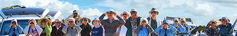 North Shore Birding Festival