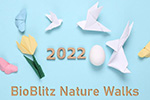 BioBlitz with Dr. Marc Minno in 2022