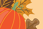 Trailday News November 23