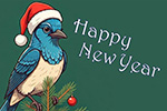 Trailday News December 28