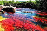 River of Seven Colors & Bogotá, Colombia 
with Dr. Marc Minno
