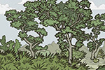 Trailday News March 22