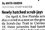 Orlando Sentinel May 2, 2007