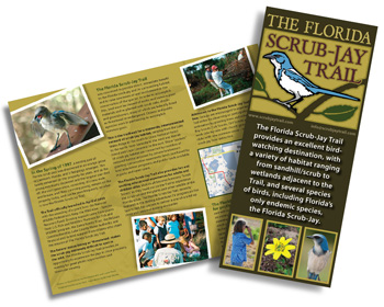 Florida Scrub-jay Trail Brochure