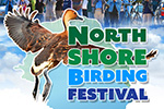 North Shore Birding Festival  December 2-6, 2021